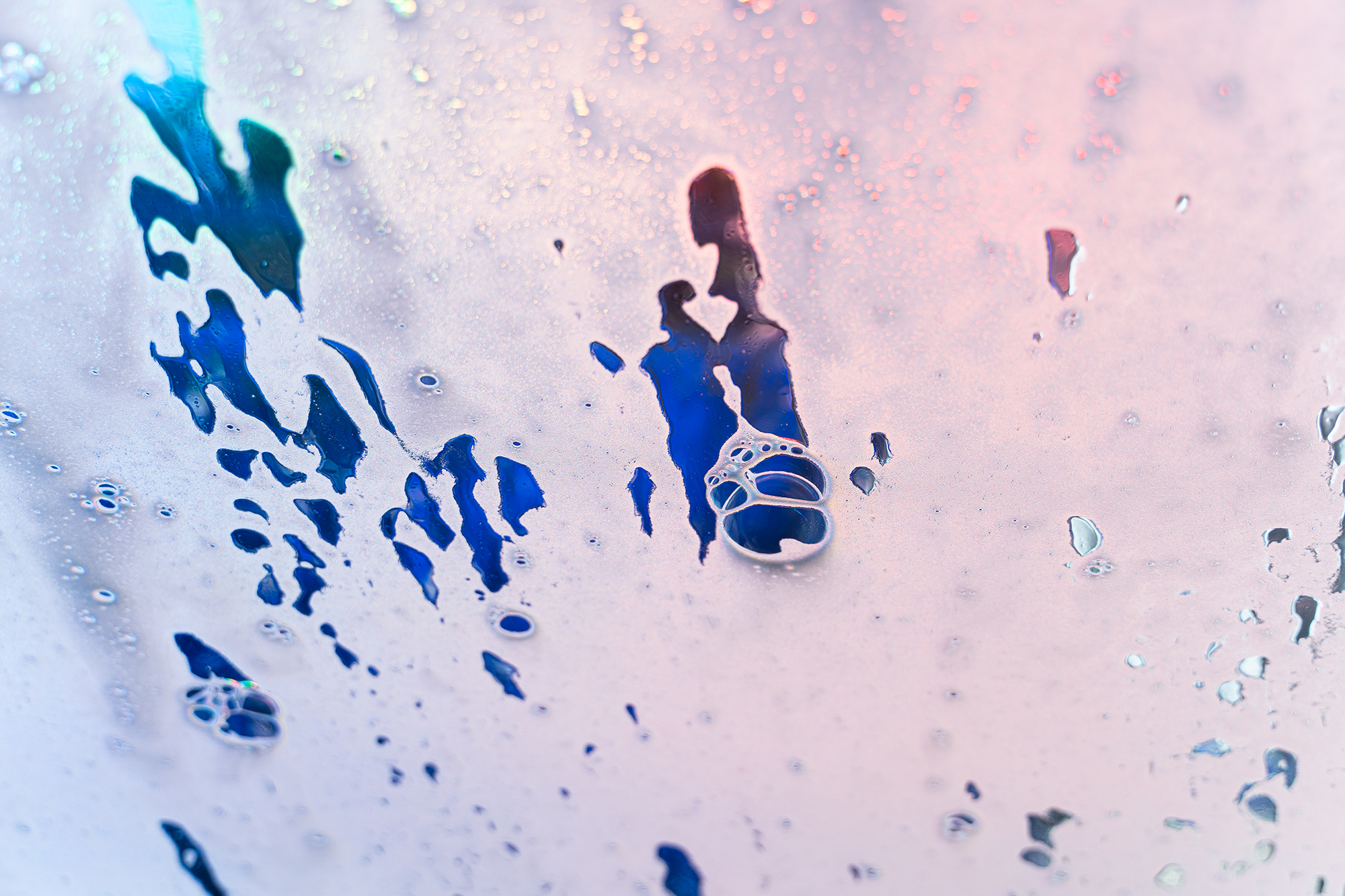 DSC07018.png