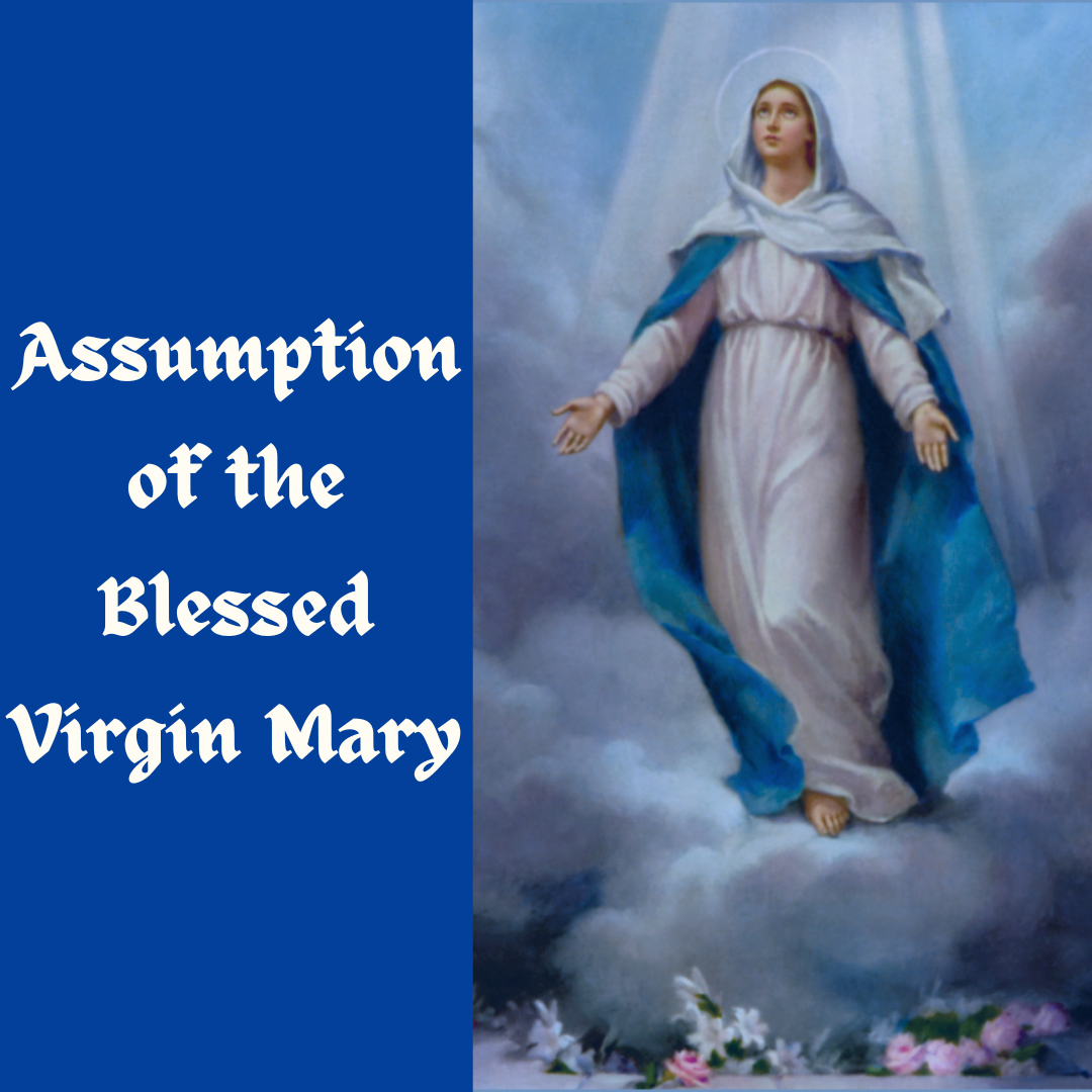 Mass of the Assumption (Anticipated)