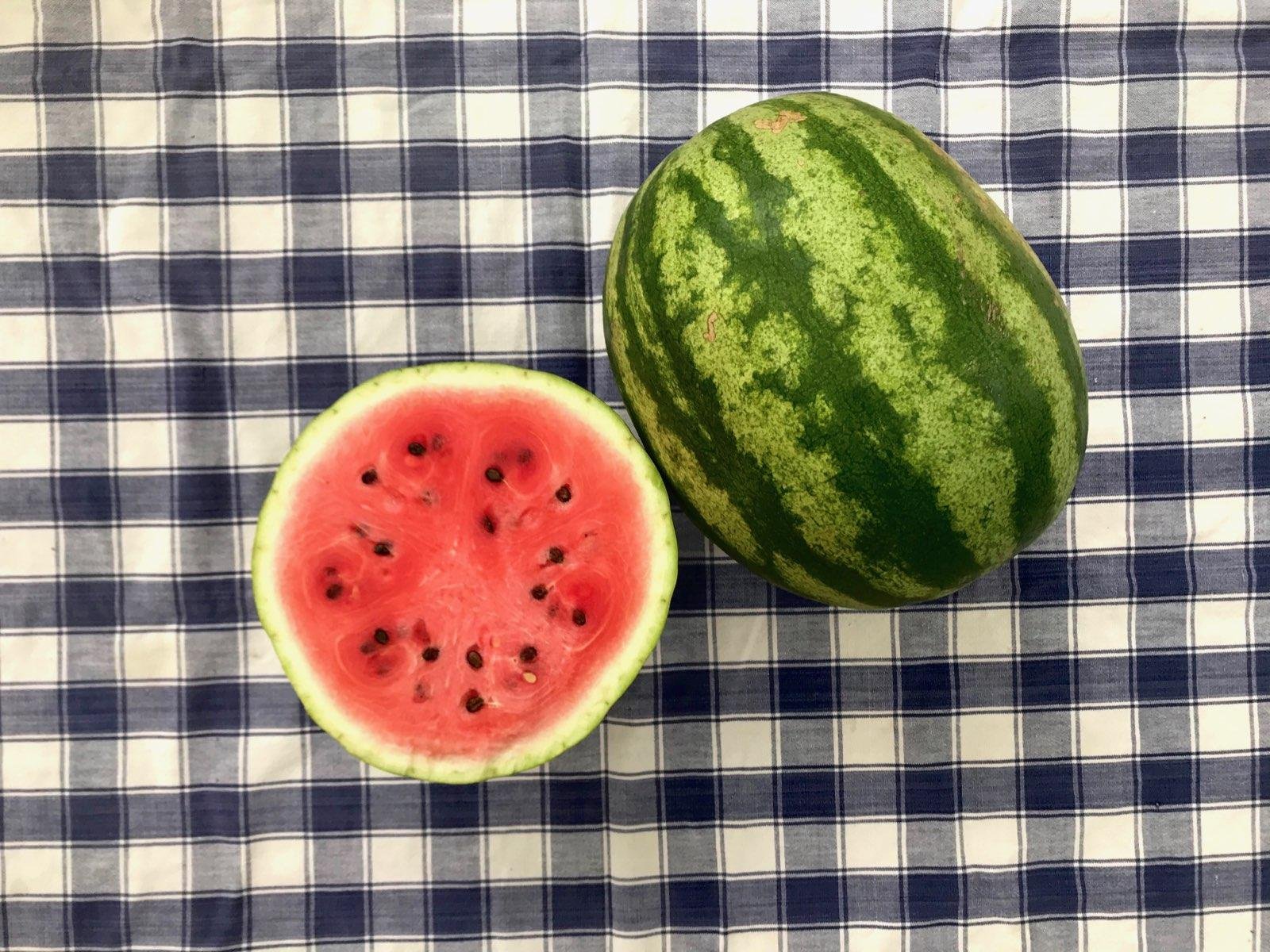 Ridge Lane Farm Indiana - Watermelon.jpg