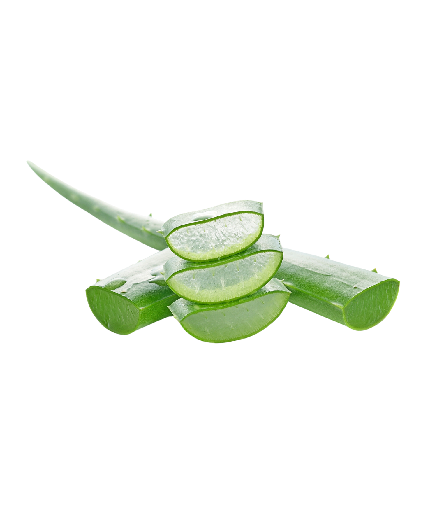 5109B8E8-C930-45F3-B86A-D020A741145B.png