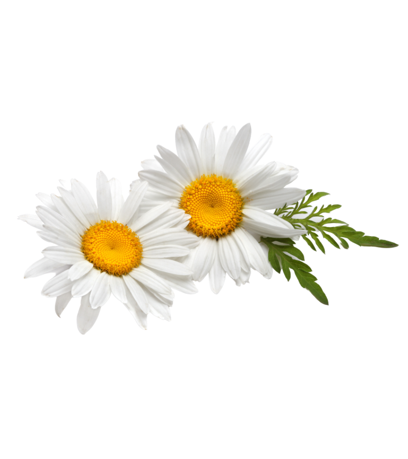 5D6CFCB7-E1C5-49D2-9879-B04975ACCE44.png