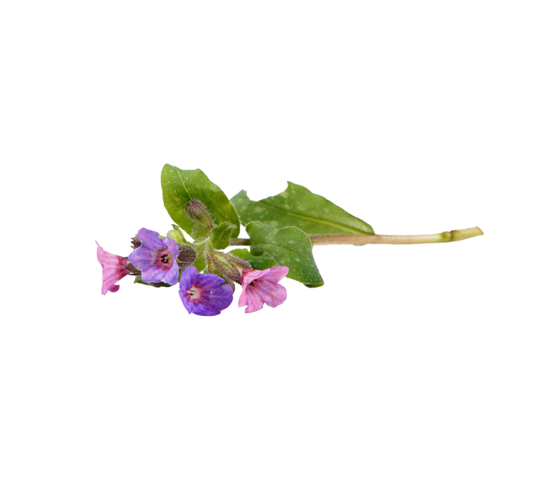 C6C62D41-F492-44E7-BEE0-8D7E41E0F66B.png