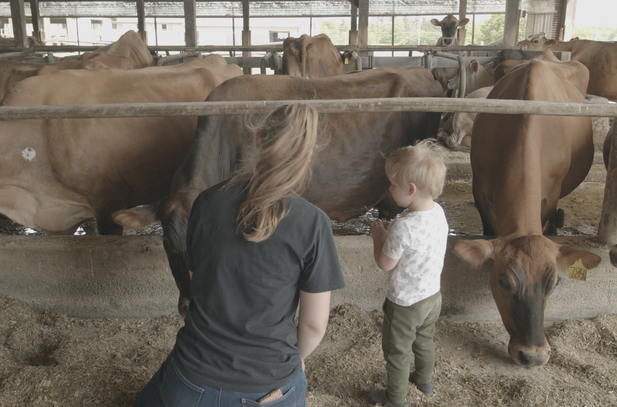 The Next Generation of New York Dairy Farmers