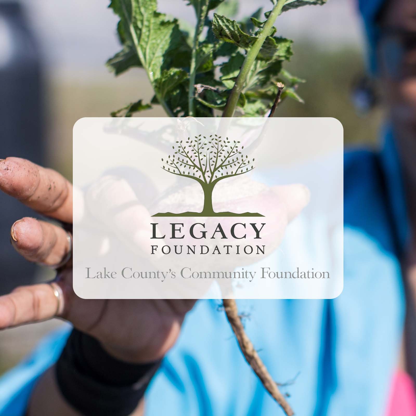 Legacy Foundation