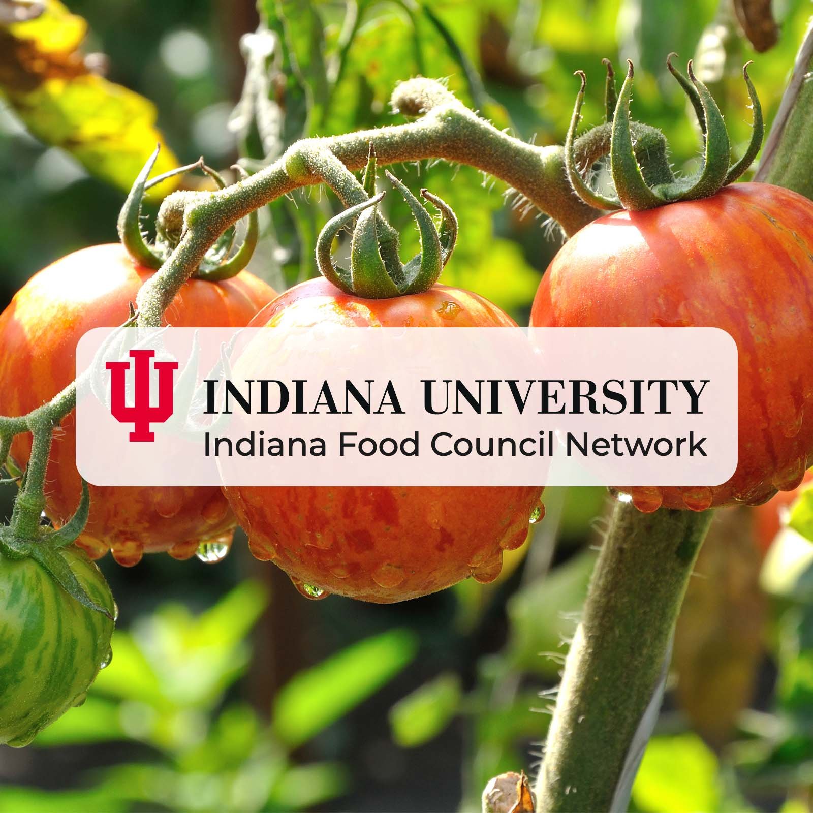 Indiana University Food Council Network