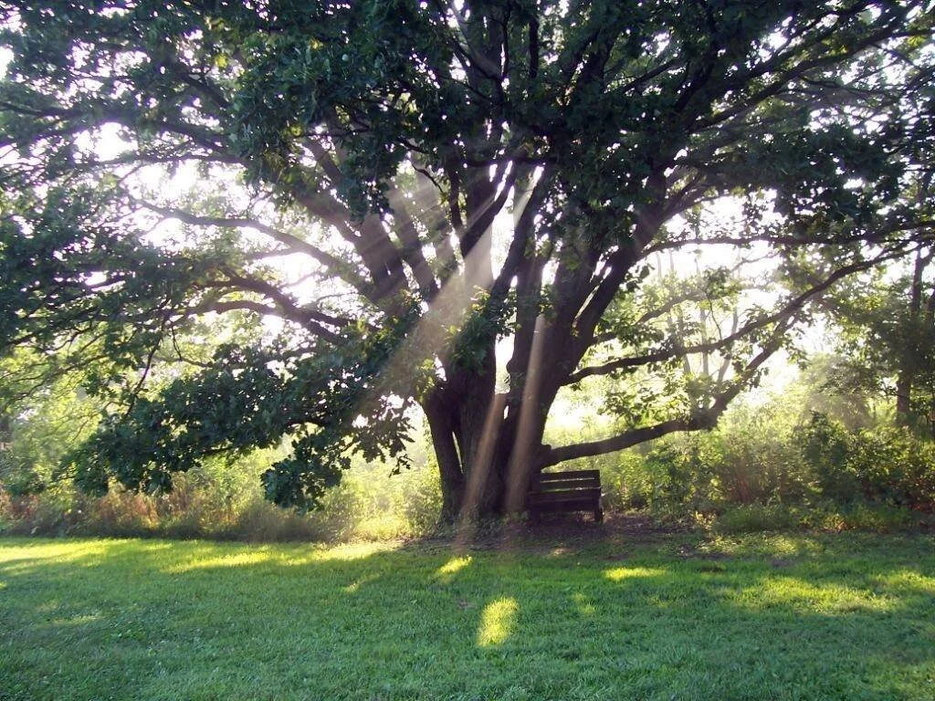 Our First Office Space