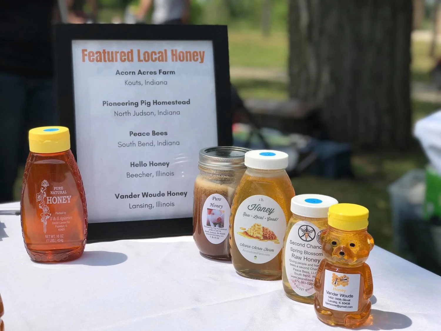 NWI Food Council hosts Basics of Beekeeping workshop in Gary, IN