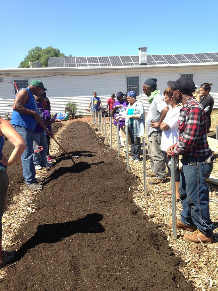  Will Allen demonstrates raking in the seeds 