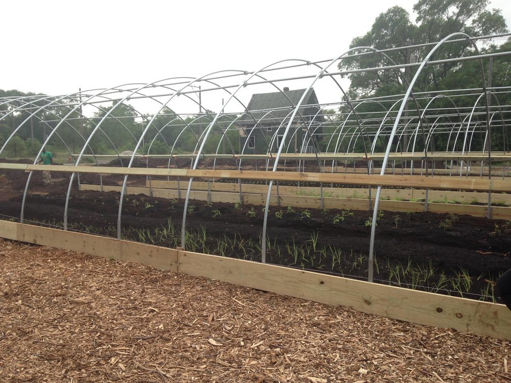  Day 4: Hoop houses have been erected, seedlings and seeds have been planted, and plastic will come in the fall 