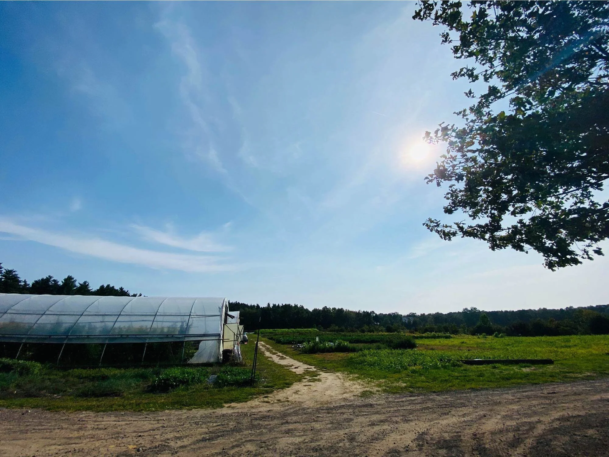 Tech Solutions Workshop