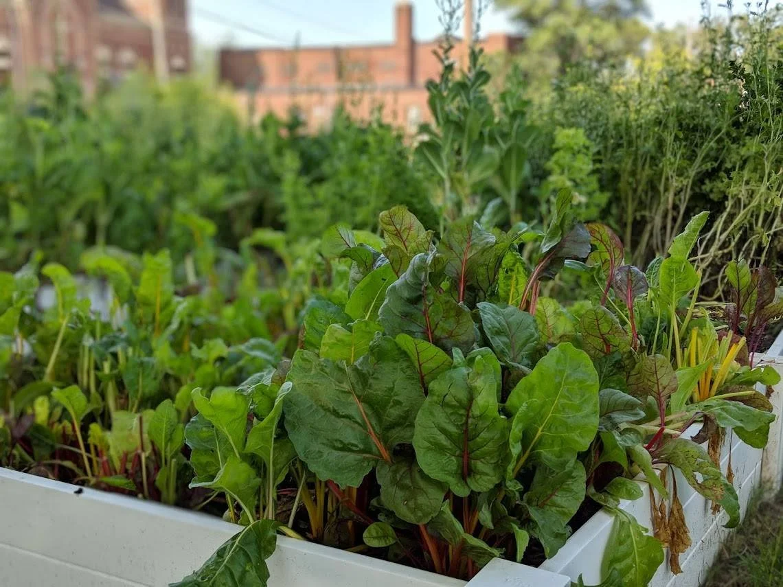 NWI Food Council partners on federal grant to address food insecurity