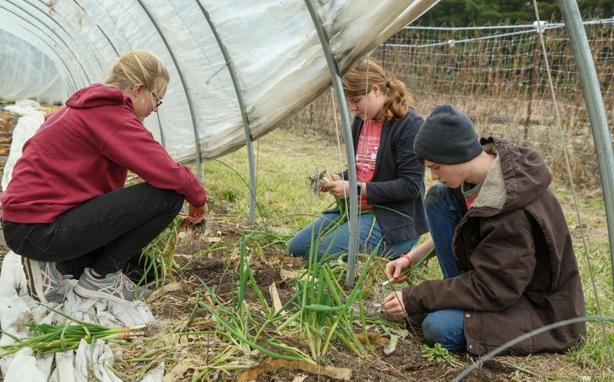 Mapping NWI's food system: NWI Food Council creating a community food system plan