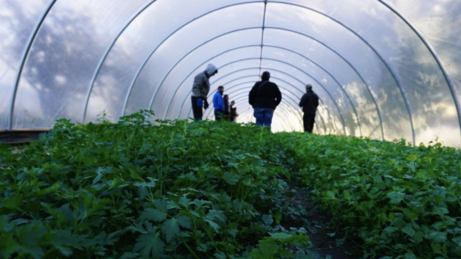 USDA closes Regional Food Business Center Program, halting funding and support for Great Lakes Midwest Farmers