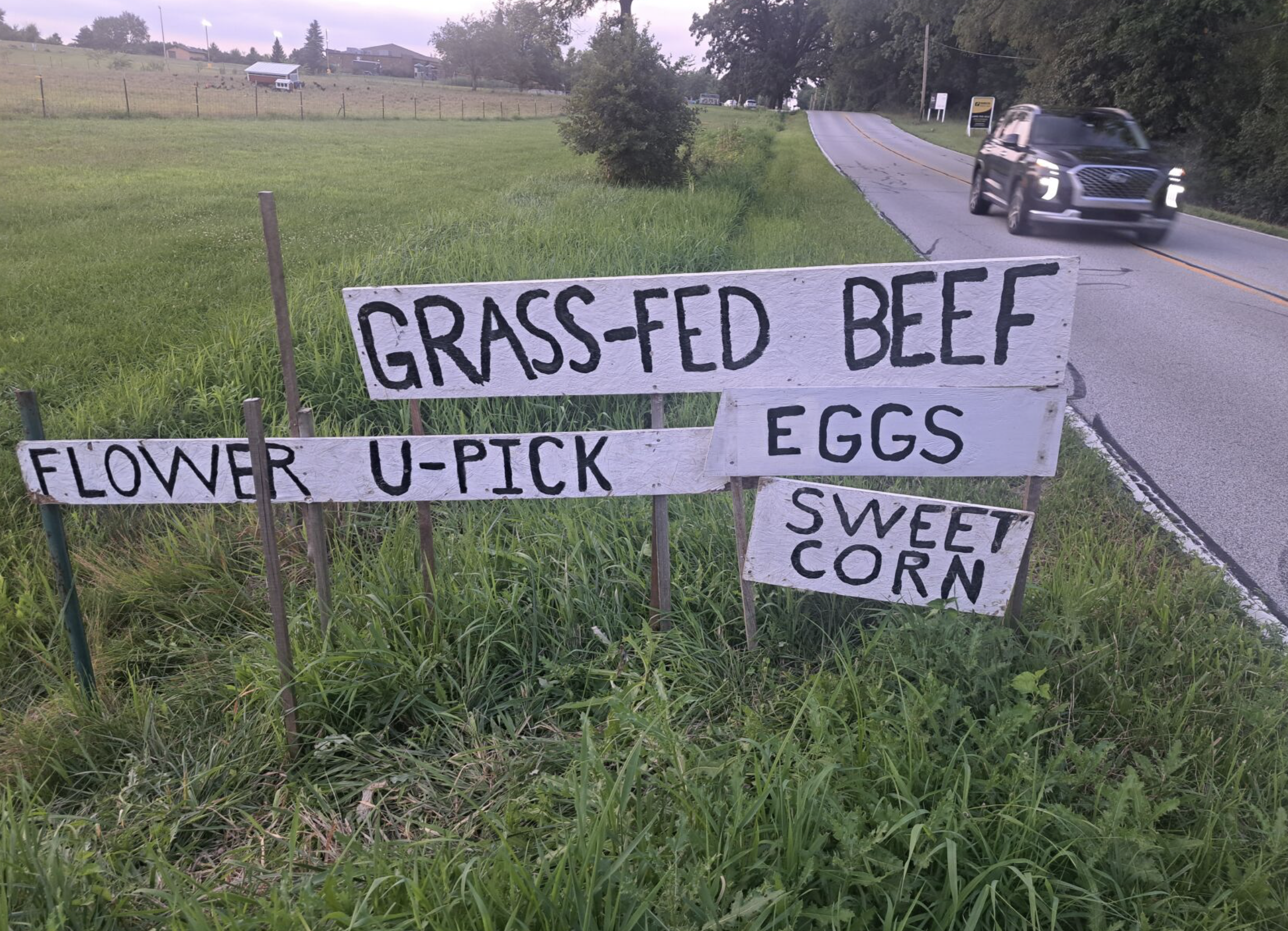 Greenest thumbs in Duneland: Local urban farmers fight for better soil health