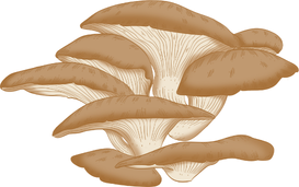 Mushrooms 63lbs