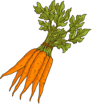 Carrots 120lbs