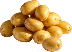 Potatoes 120lbs