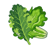 Kale Mix 150 clamshells