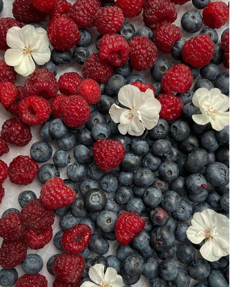 Farm to School: July 2026 Newsletter