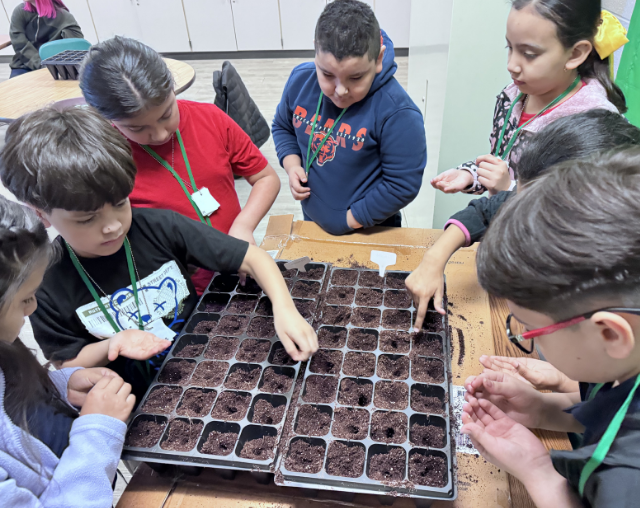 students planting seeds in tray