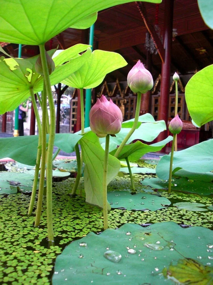 10 Sustainable Baddie Articles to Revisit For Earth Month