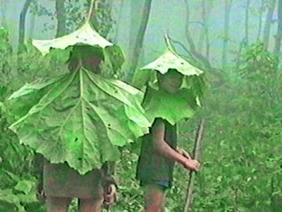 6 Films That Will Make You Want to Hug the Earth or Run Away to Live in the Woods