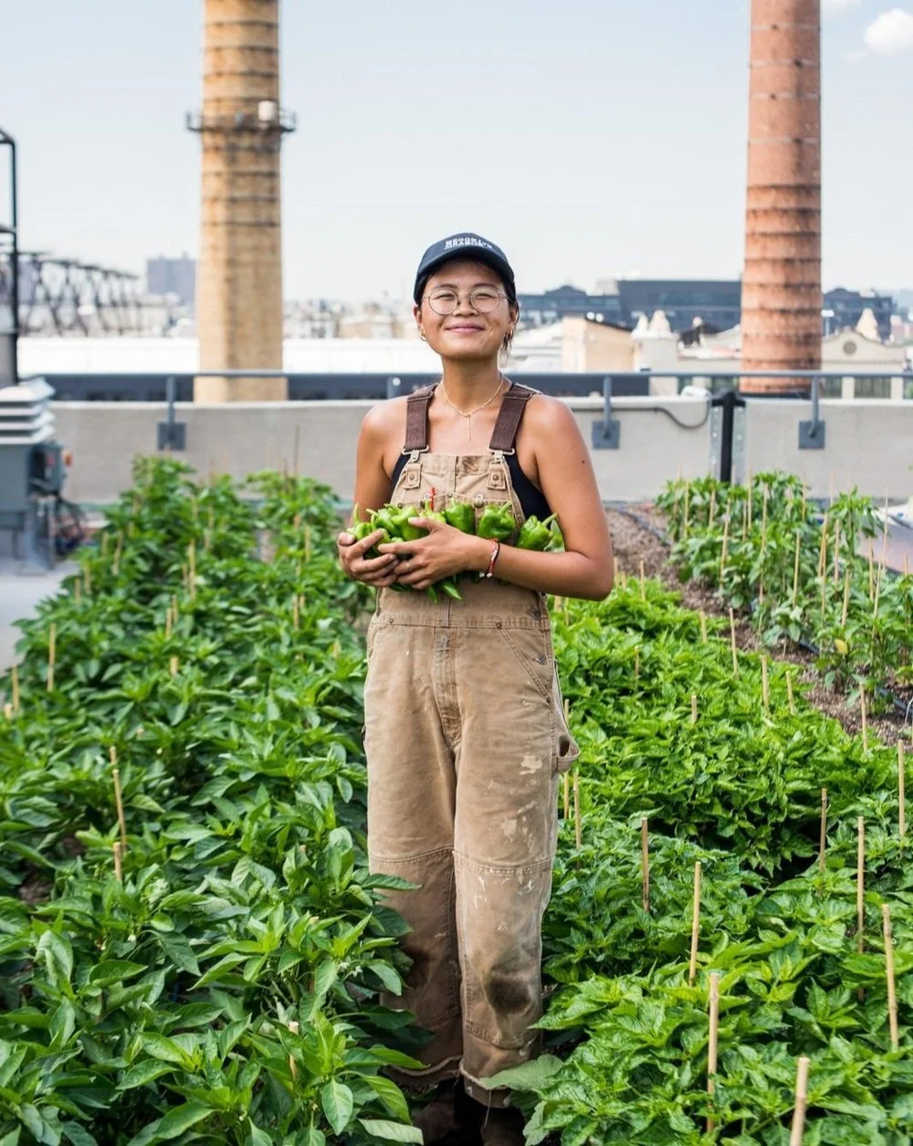 How To Be An Environmental Steward