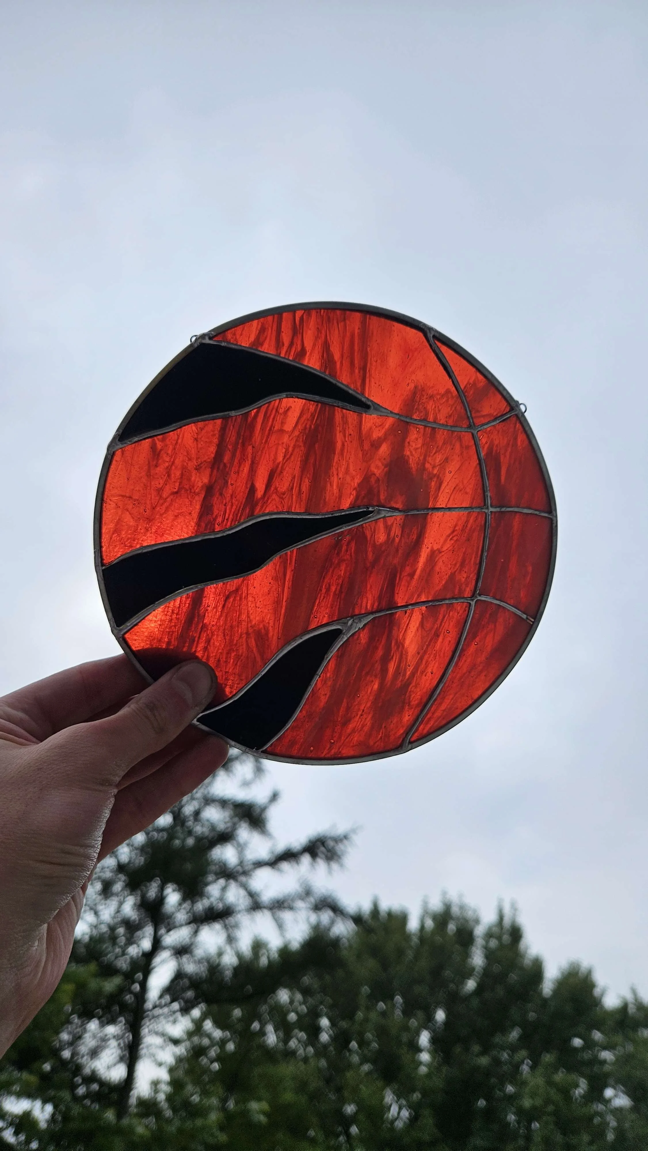 Raptors Logo.jpg