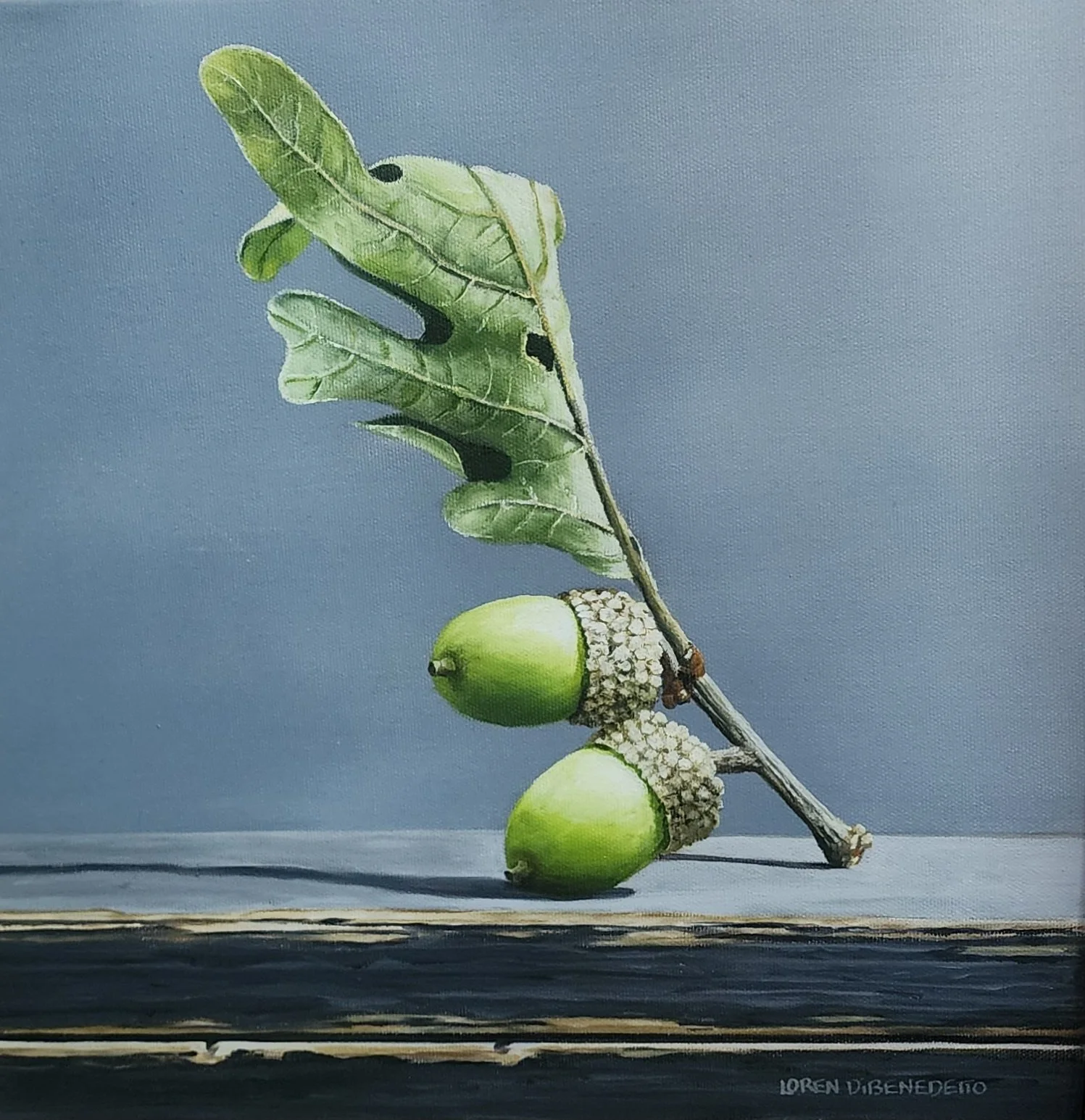 An original oil painting by Loren Dibenedetto depicting two white oak acorns on a twig.