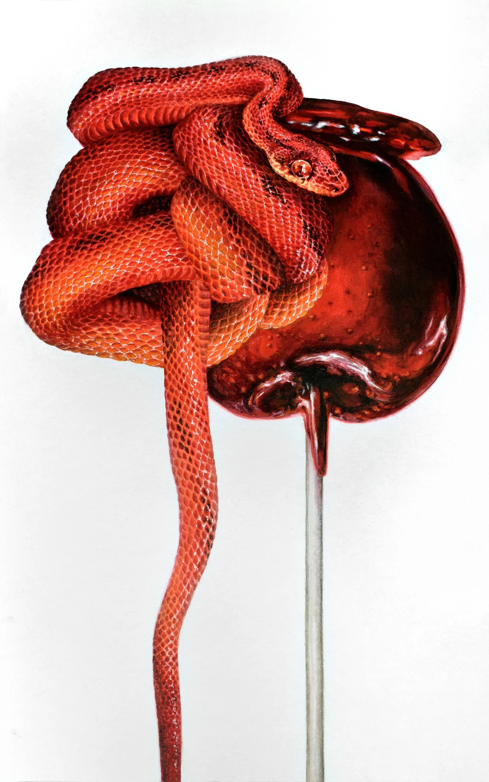 An original watercolor on paper by artist Francine Fox depicting a snake coiled around a candy apple as a playful commentary on sin in the Garden of Eden.