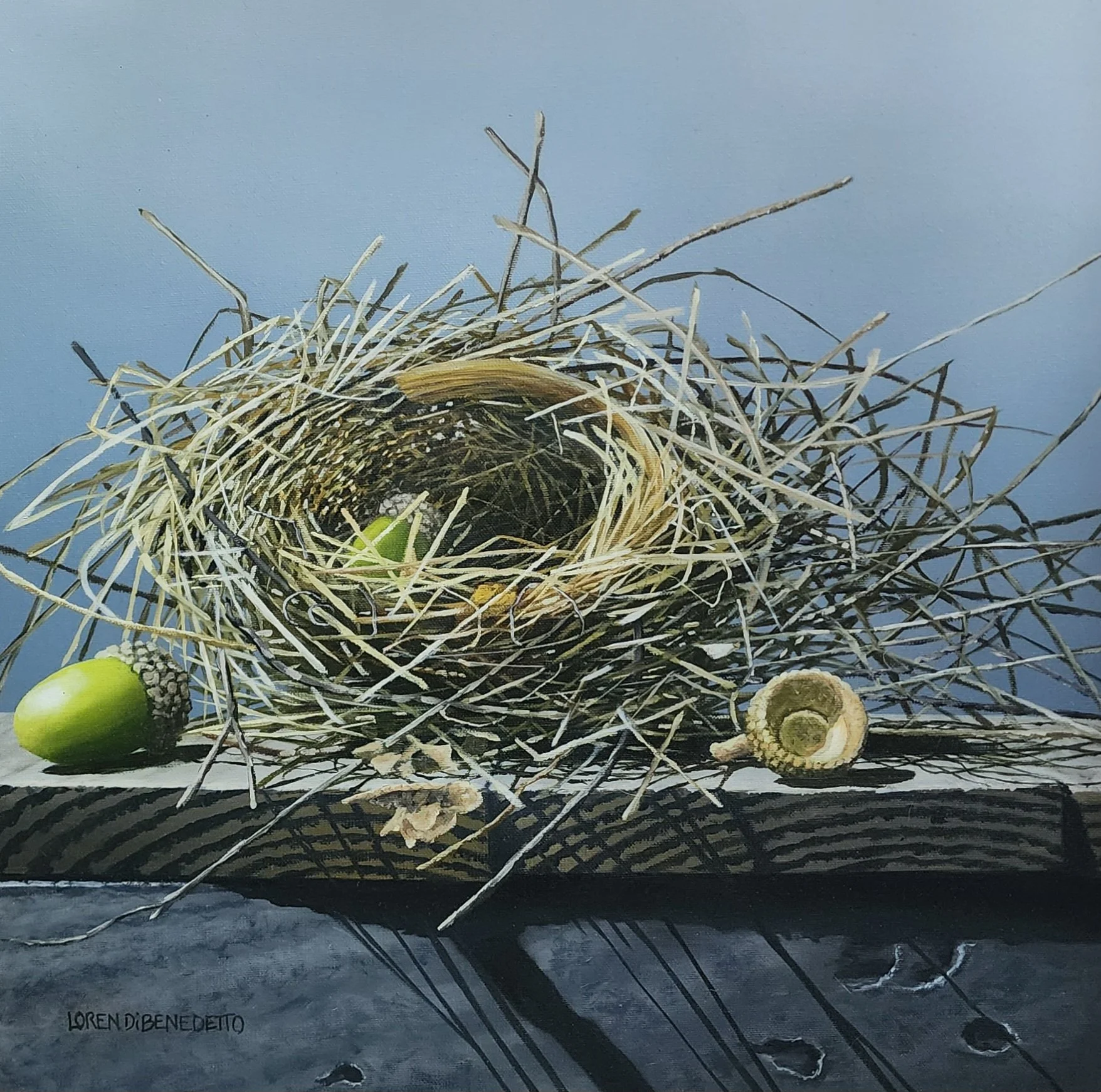 An original oil painting by Loren Dibenedetto depicting a foraged twiggy nest with acorns and acorn tops around it.