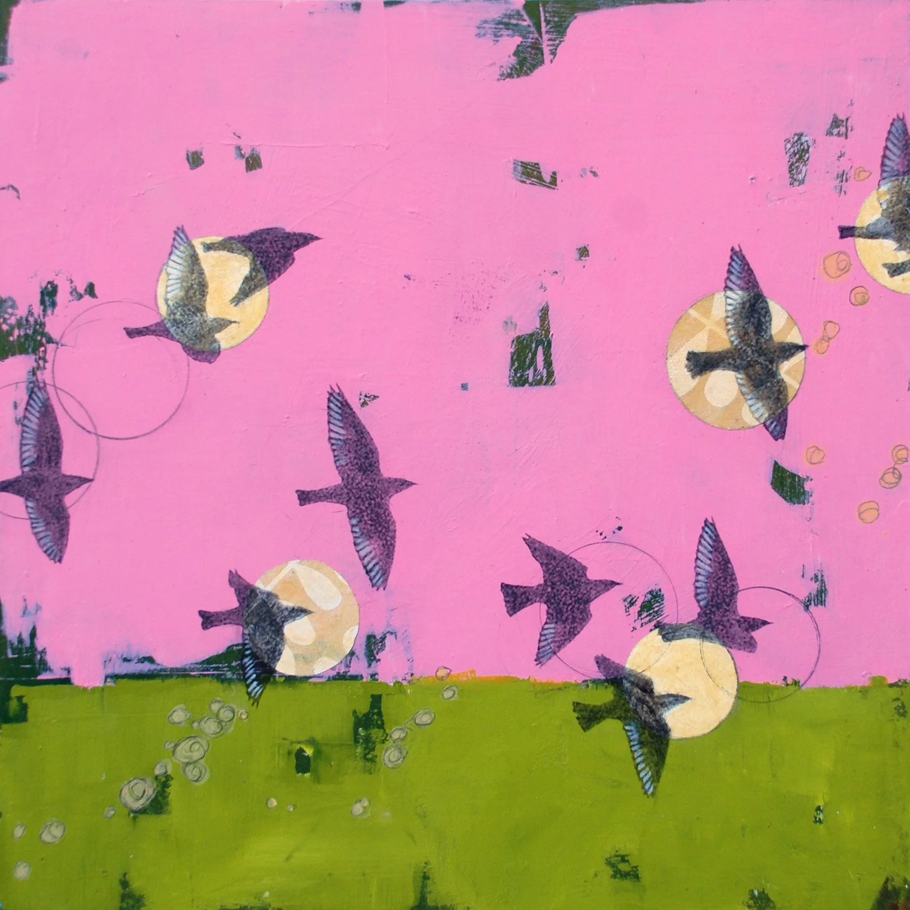 HOLLY HARRISON