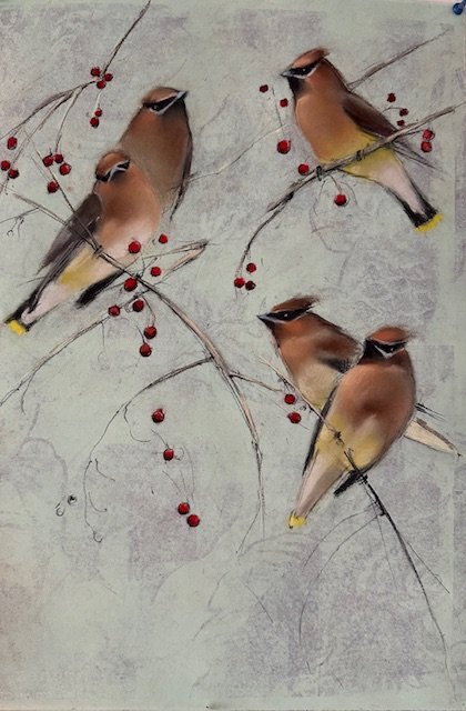 An original pastel on monotype by artist Sylvia Gonzalez depicting a group of Cedar Waxwings and red berries.