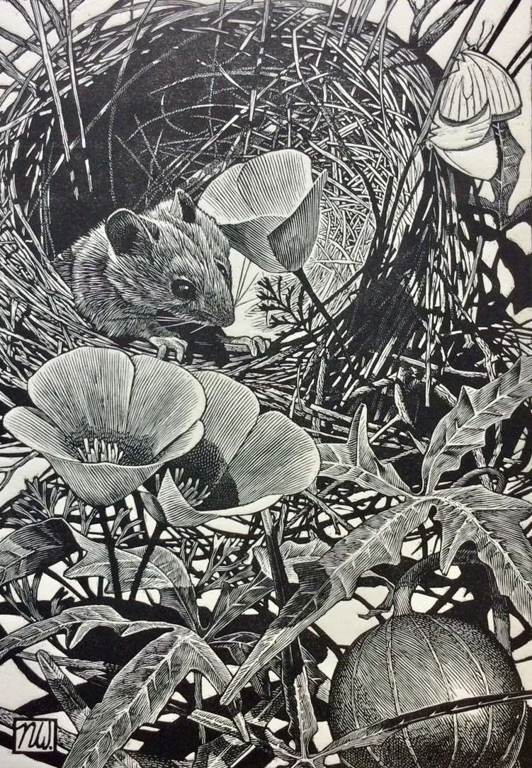 An original wood engraving by artist Nicholas Wilson, printed on Mohawk superfine paper, numbered edition of 60.