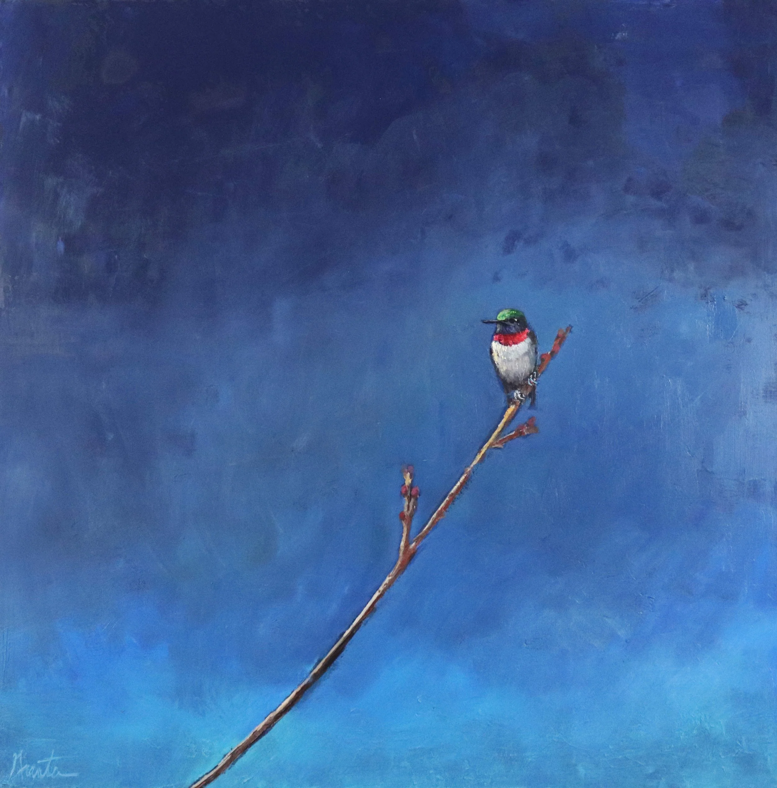 Ellen Granter_Hummer Twilight_24x24_ oil on canvas_$2740.jpg