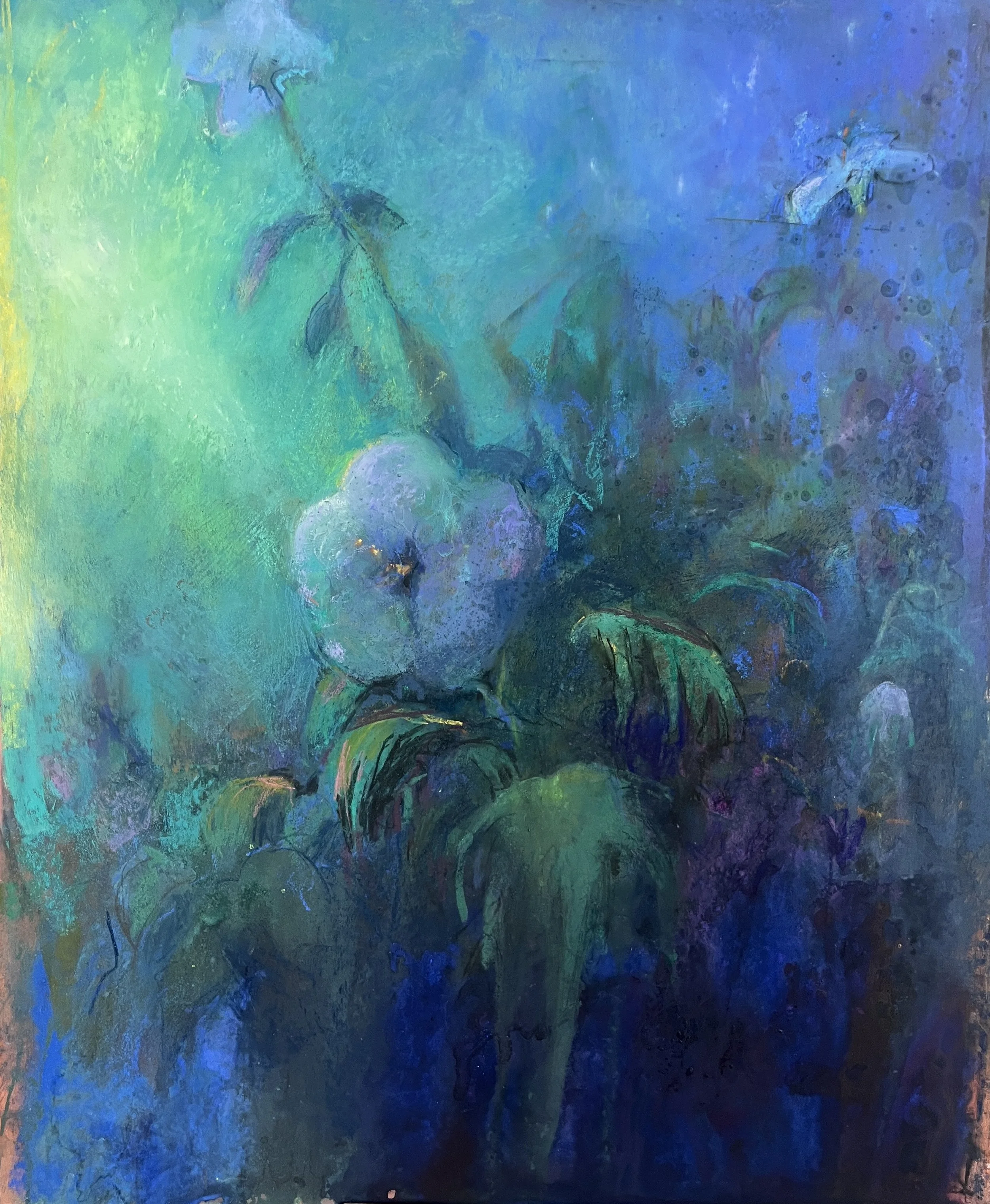 LORIANN SIGNORI
