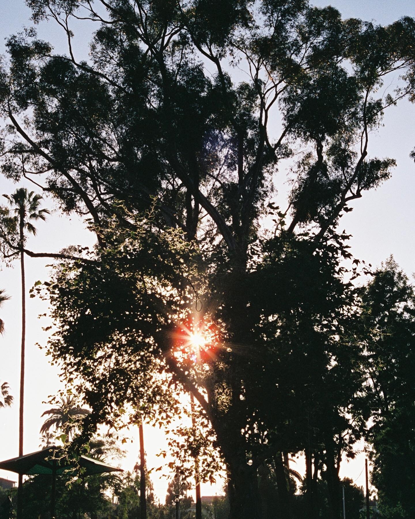 The first clock was set to 3/4 time and the sun nodded in accord, not hurried, then faster, faster. The earth circled to that staccato rhythm playing peek-a-boo with the light. 

The first song was written in honeysuckle buds and the first instrument