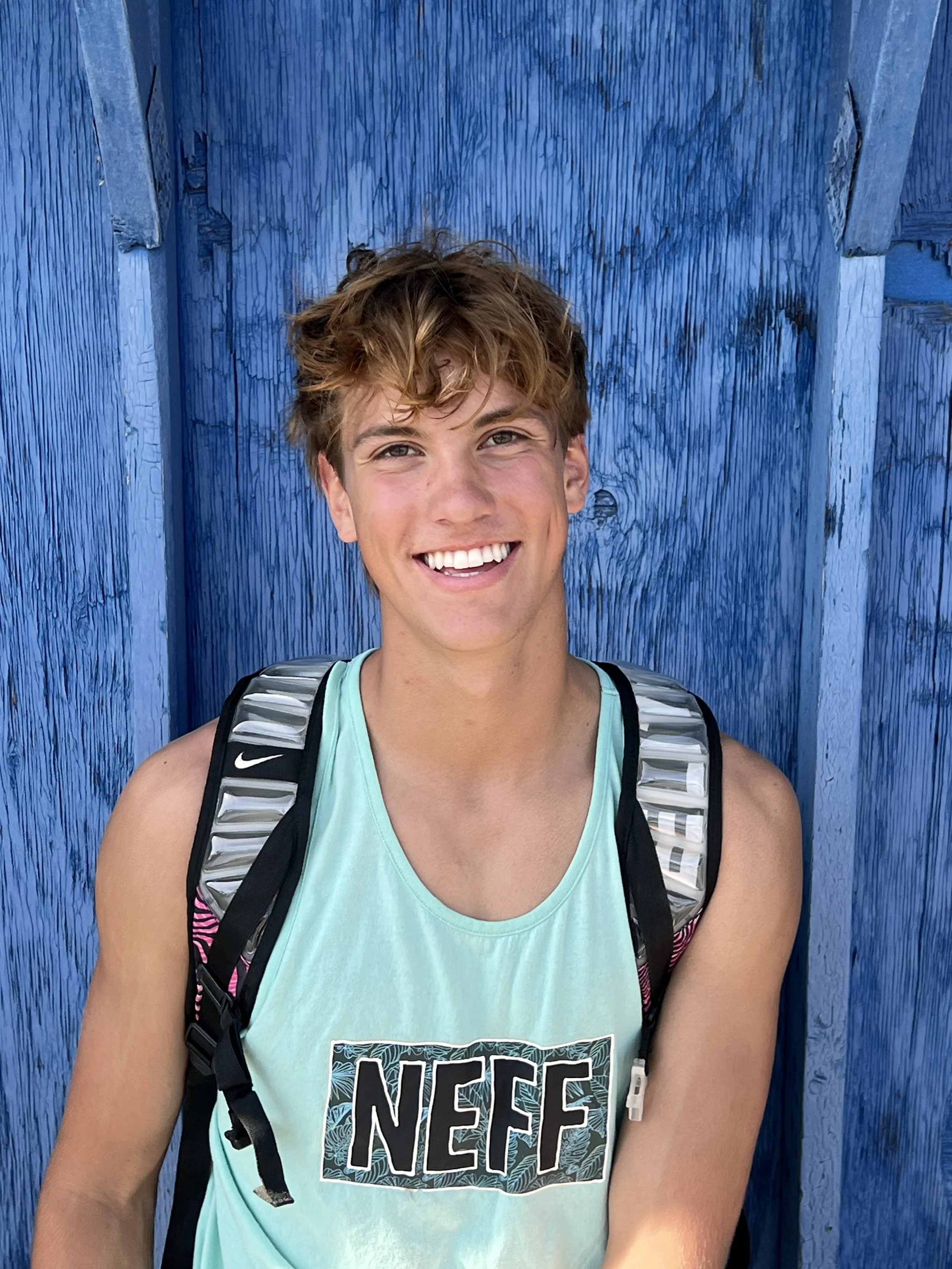 Braun Endicott