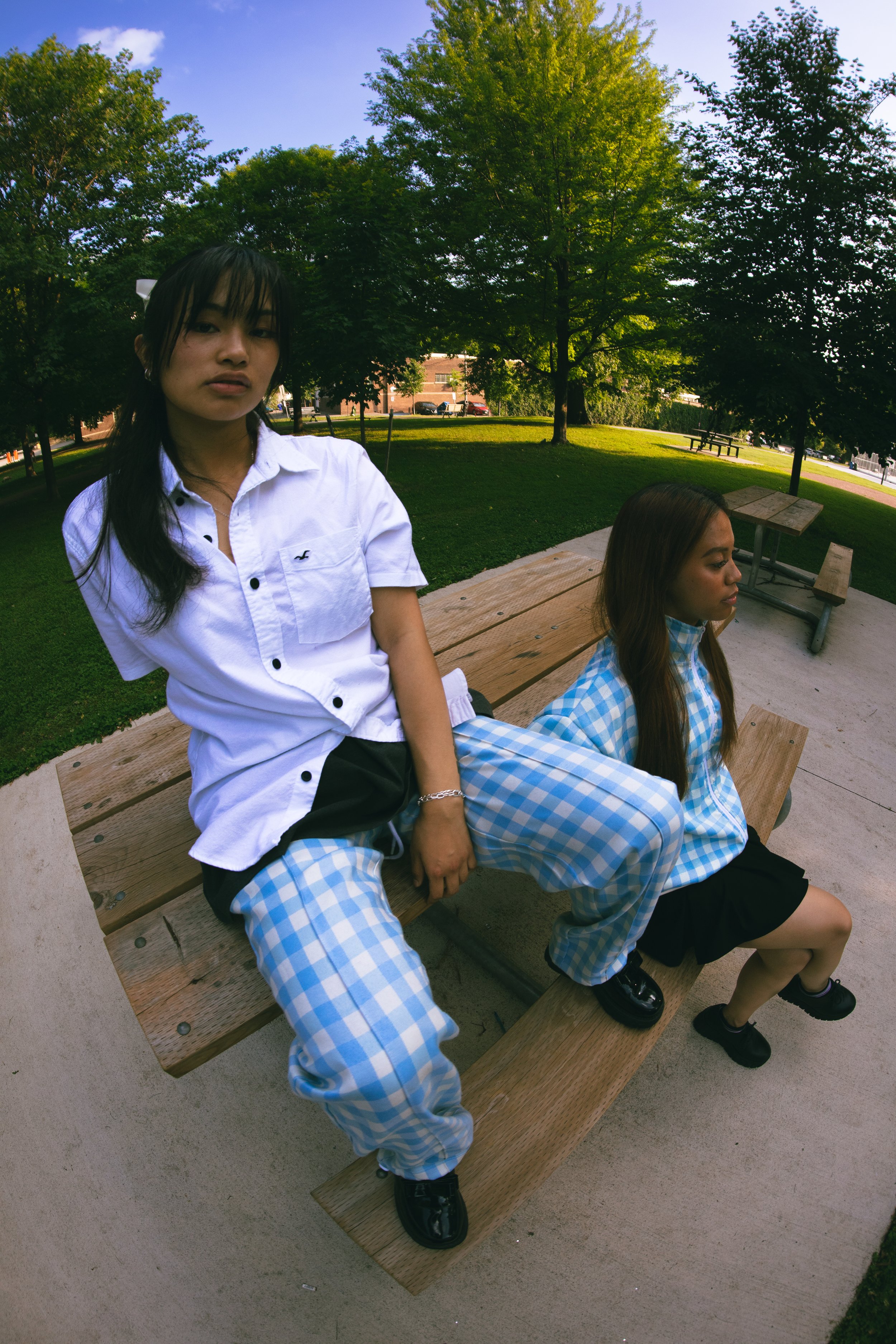 Picnic Set Preorder