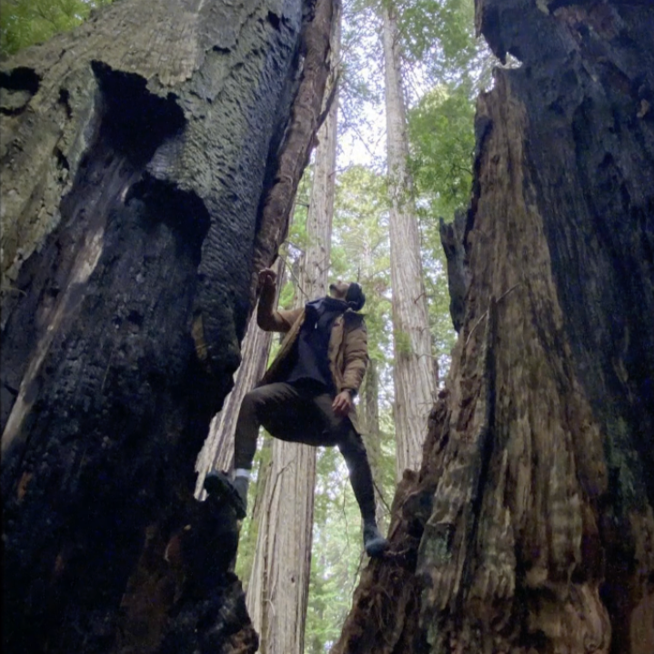 QATAR: Year of Culture