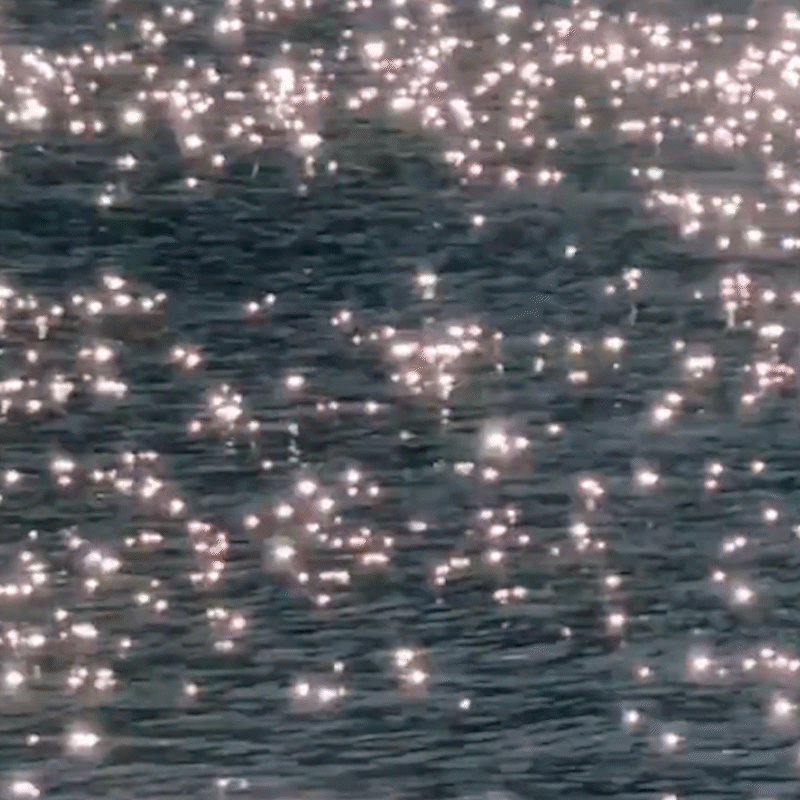 L'Oréal: Bright Reveal