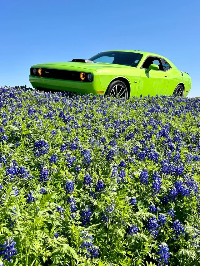 Going places this spring?&nbsp;!