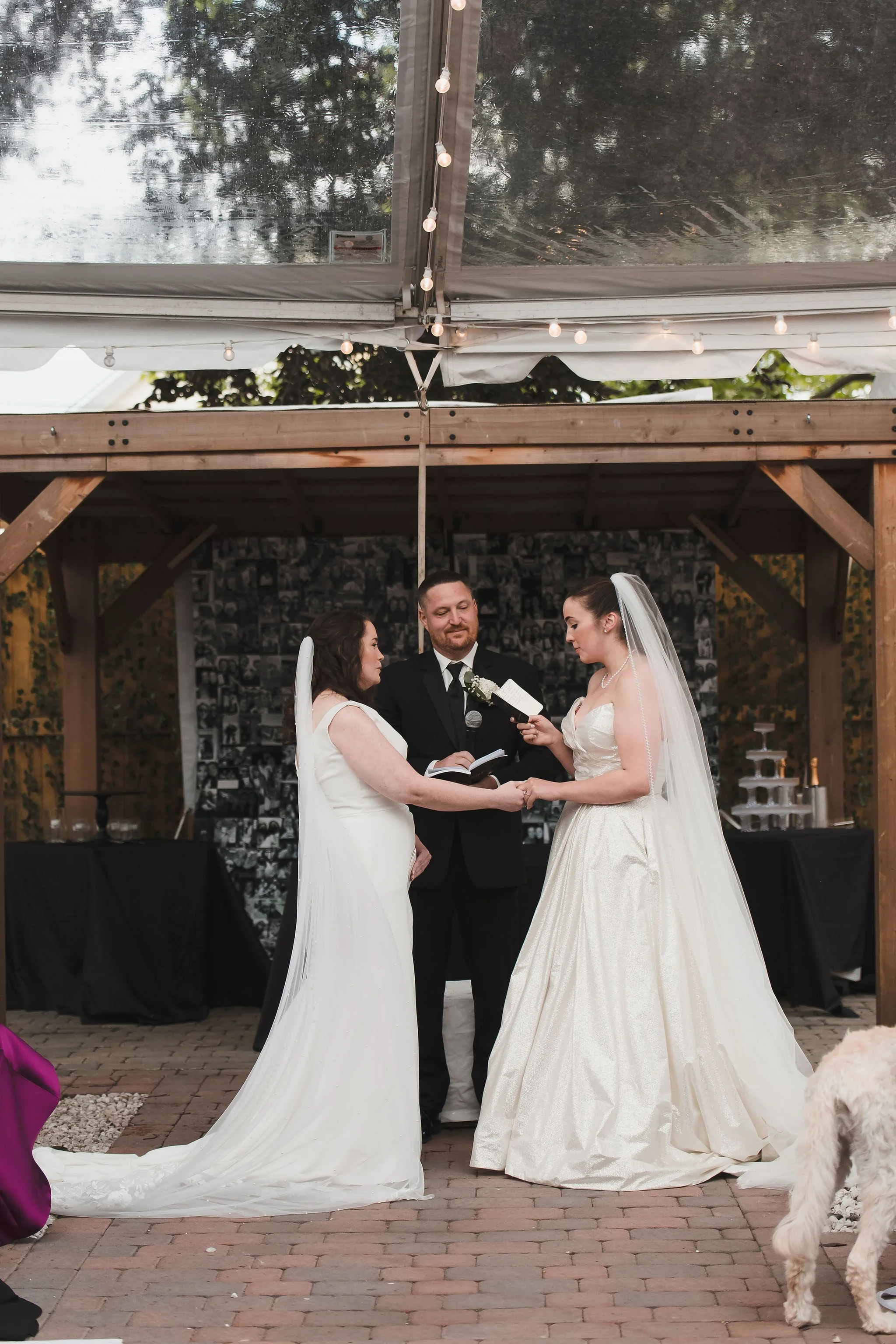 ShannonKaileen-Wedding-377.jpg
