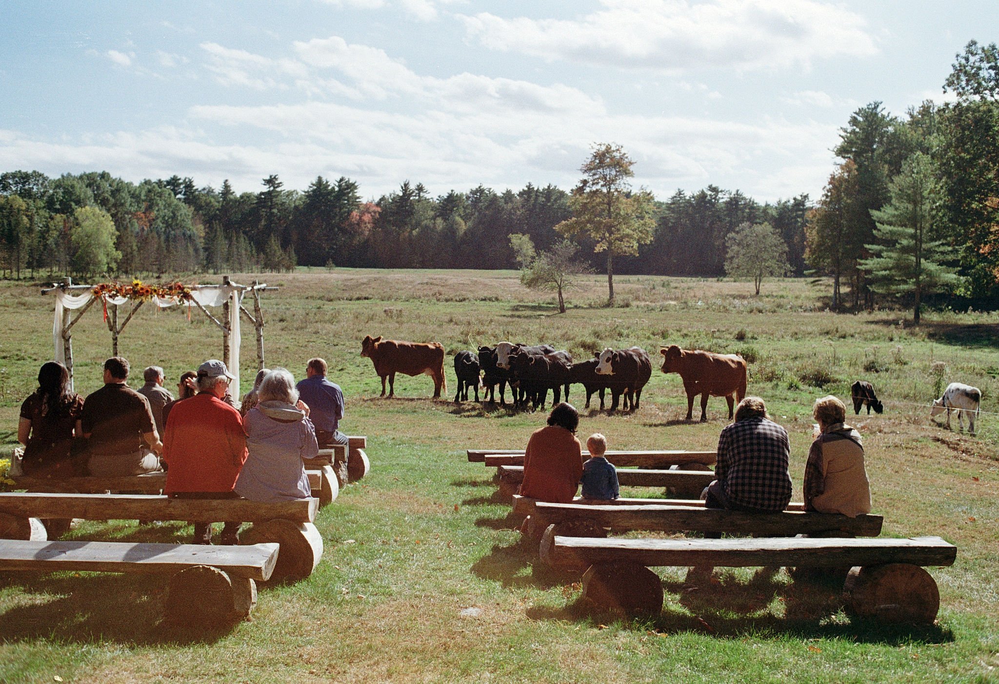 LiviRobin-Wedding-35mm-11.jpg