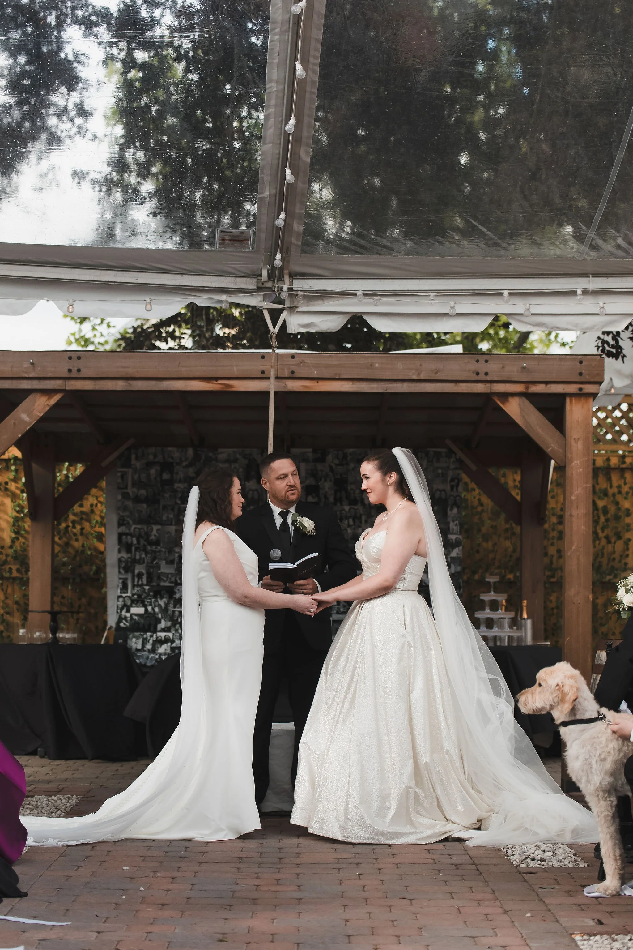 ShannonKaileen-Wedding-344.jpg