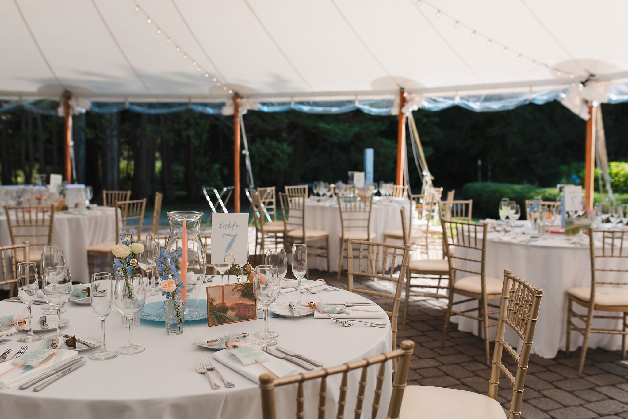 JamieEli-Wedding-345.jpg