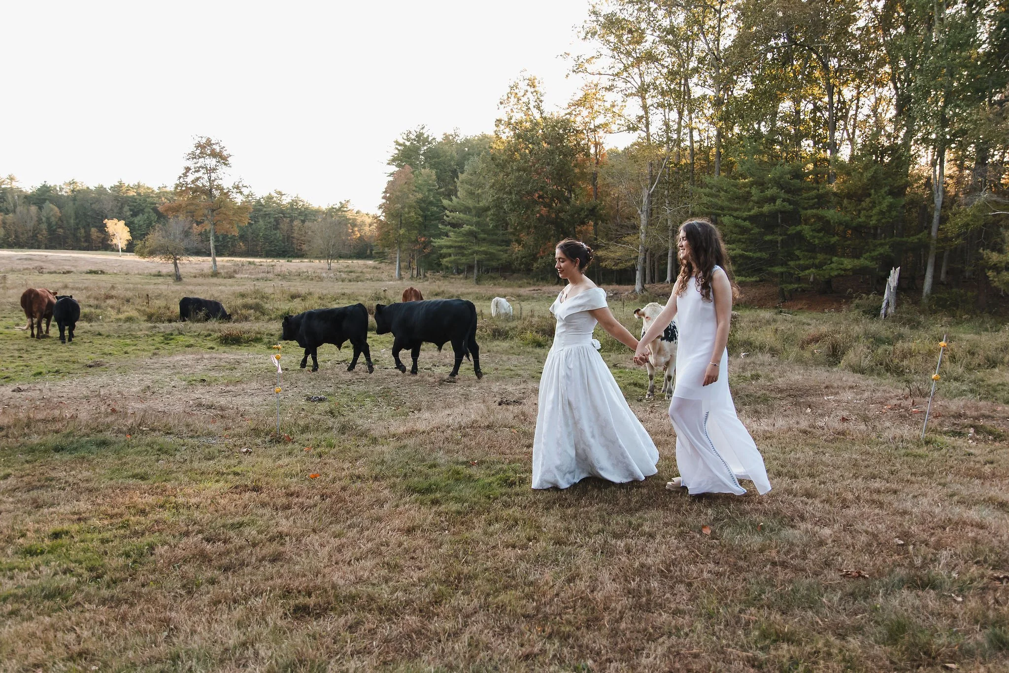 Red Ridge Farm