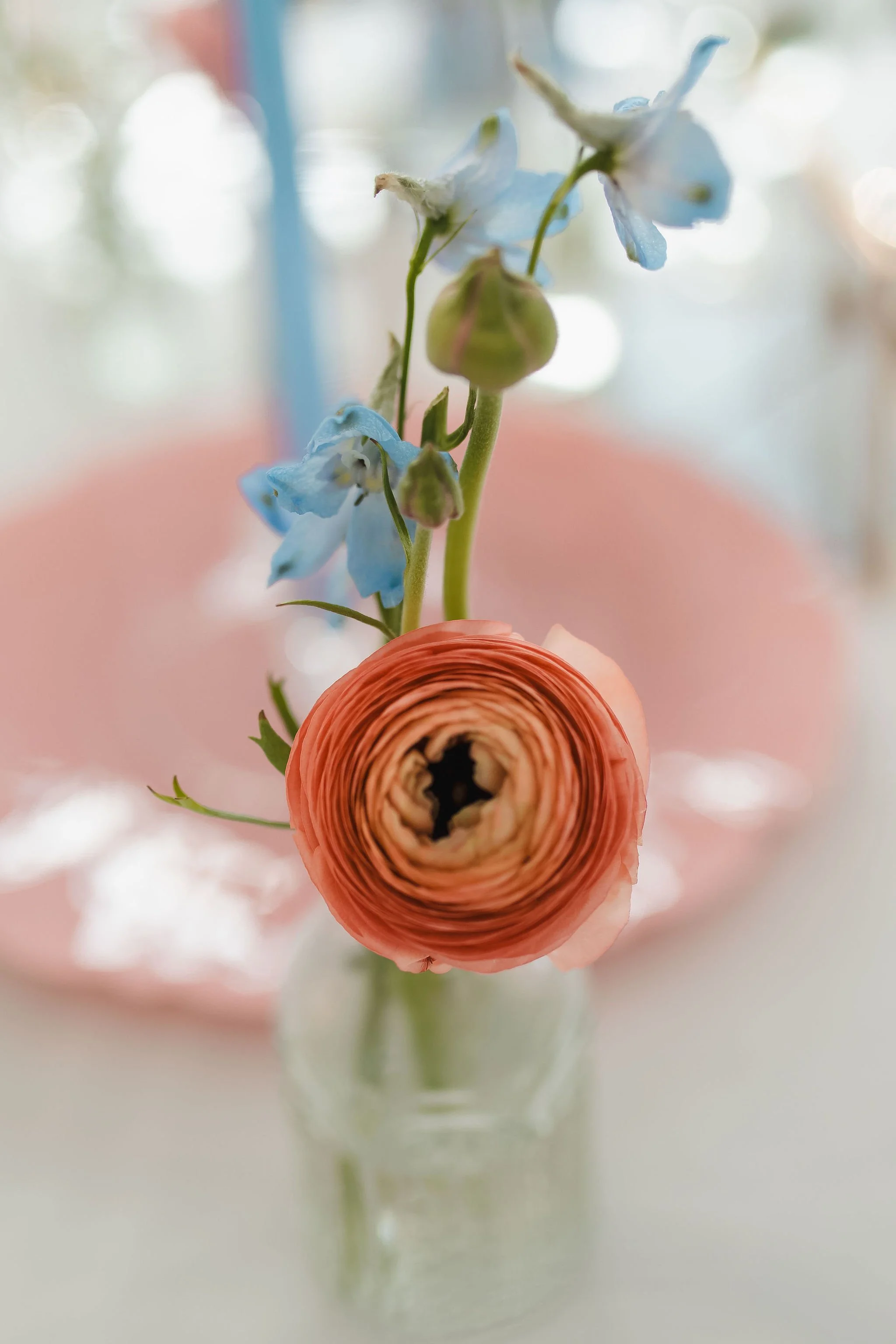 JamieEli-Wedding-622.jpg