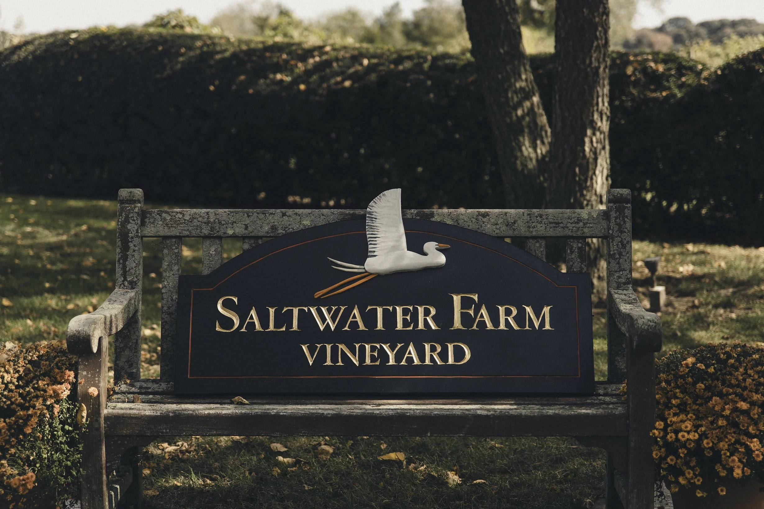 JessieAlex-Wedding-Saltwater-Vineyards-100.jpg