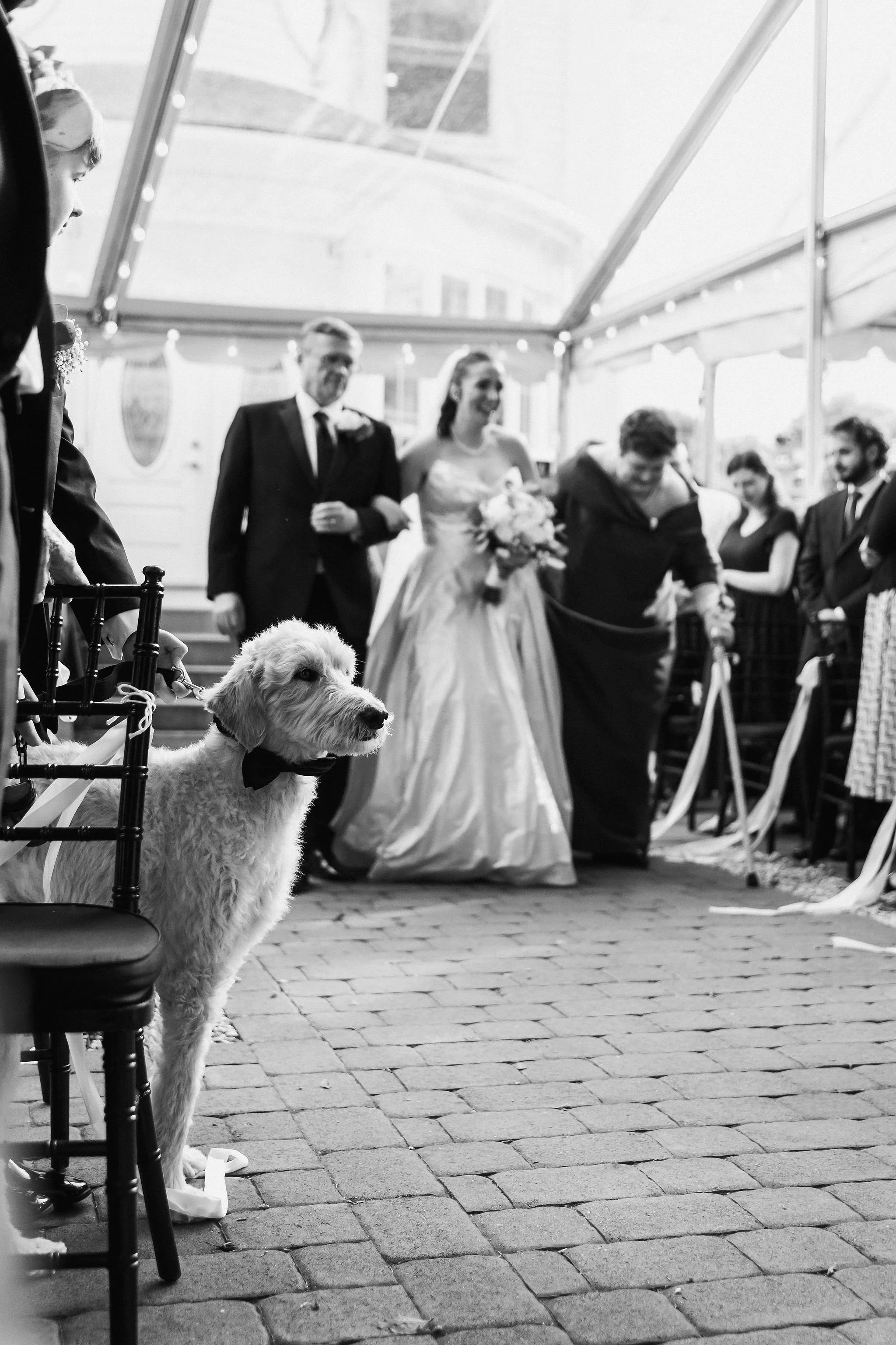 ShannonKaileen-Wedding-318.jpg